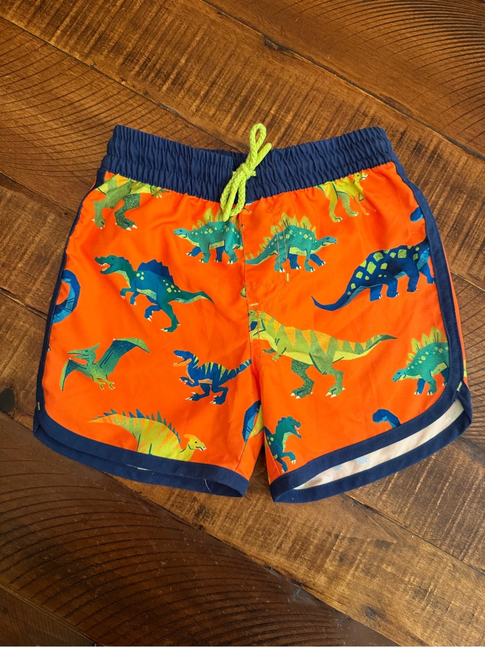 Hatley boys dinosaur swim trunks